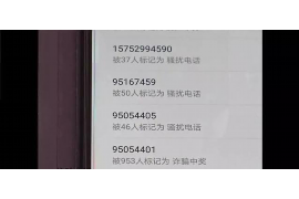 资中清数公司哪里找?——全面解析资中清数公司信息与服务 资中清数公司哪里找?——全面解析资中清数公司信息与服务