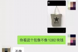 标题：揭秘“鼓励催收的句子图片”：法律视角下的合规与争议